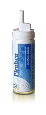 PIROBEC*CUT SCHIUMA 50G 1% - Doctor Vinz