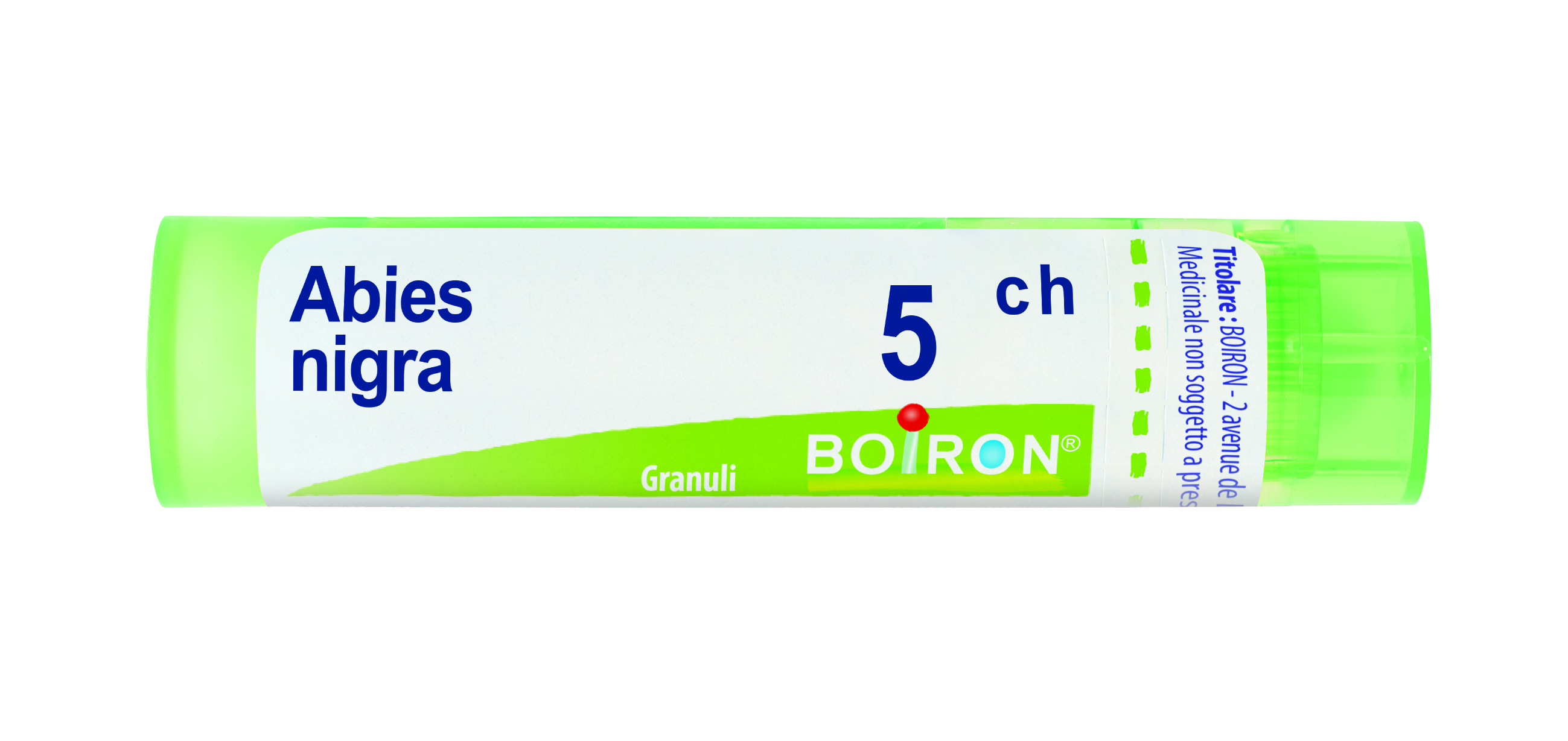 ABIES NIGRA*5CH 80GR 4G - Doctor Vinz