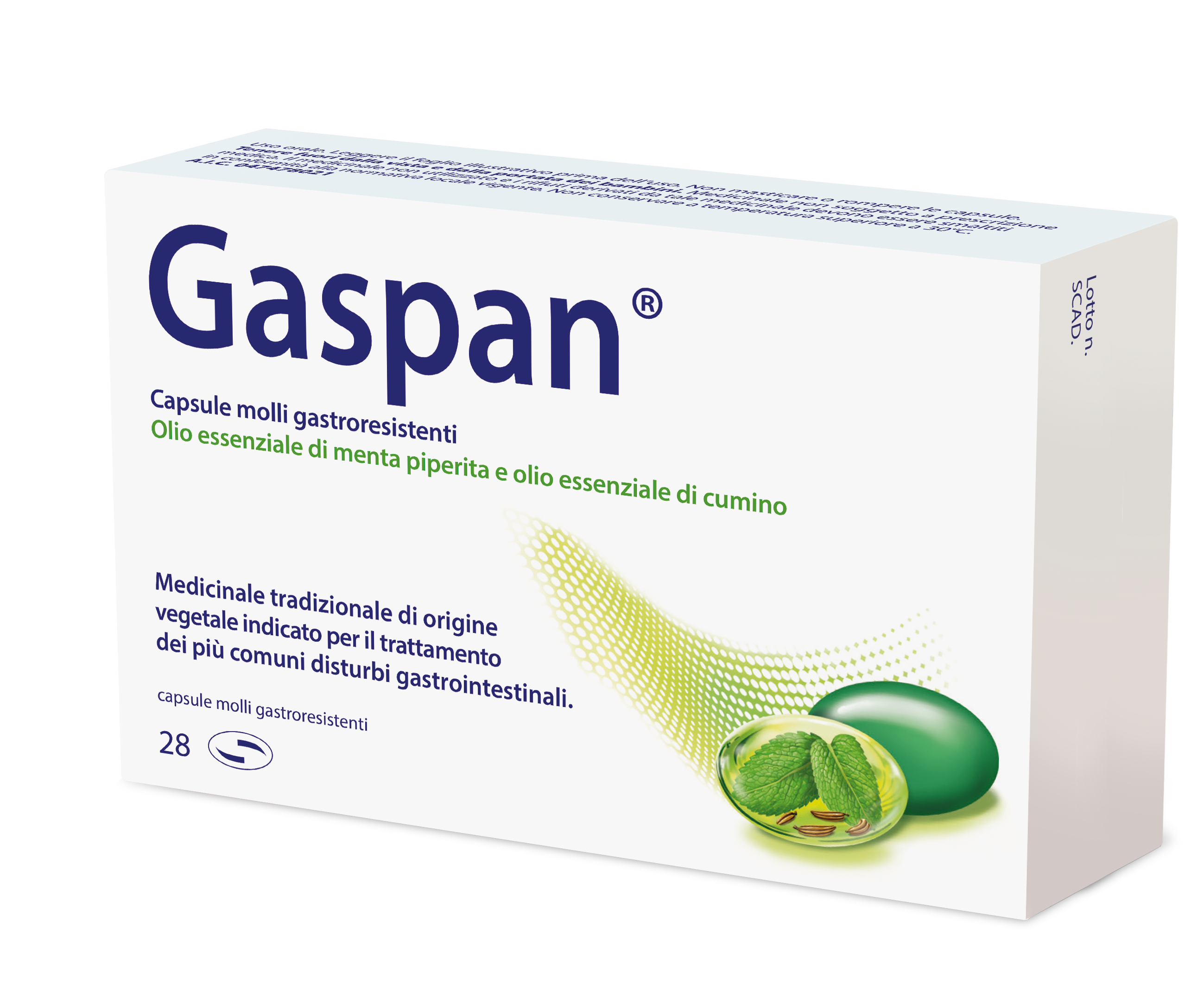 GASPAN*28CPS MOLLI GASTRORES - Doctor Vinz