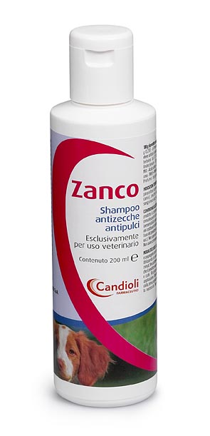 ZANCO*SH FL PE 200ML - Doctor Vinz
