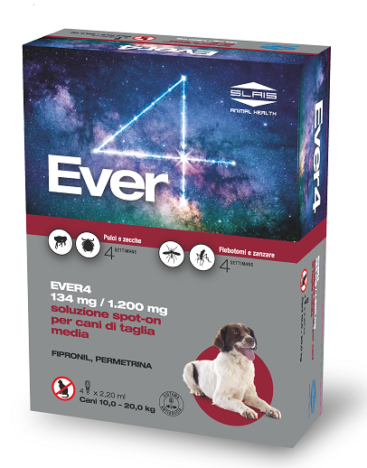 EVER 4*4PIP 2,20ML 134+1200MG - Doctor Vinz