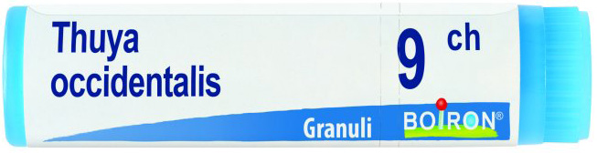 THUYA OCCIDENTALIS 9 CH GLOBULI - Doctor Vinz