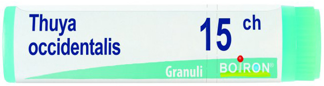 THUYA OCCIDENTALIS 15 CH GLOBULI - Doctor Vinz