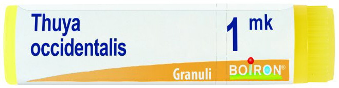 THUYA OCCIDENTALIS MK GLOBULI - Doctor Vinz