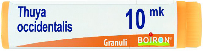 THUYA OCCIDENTALIS XMK GLOBULI - Doctor Vinz