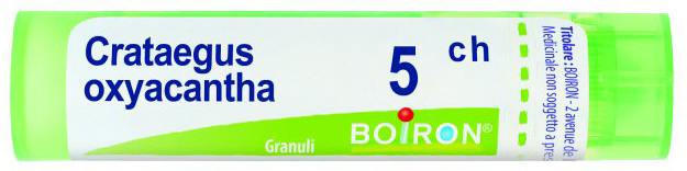 CRATAEGUS OXYACANTHA 5CH GRANULI - Doctor Vinz