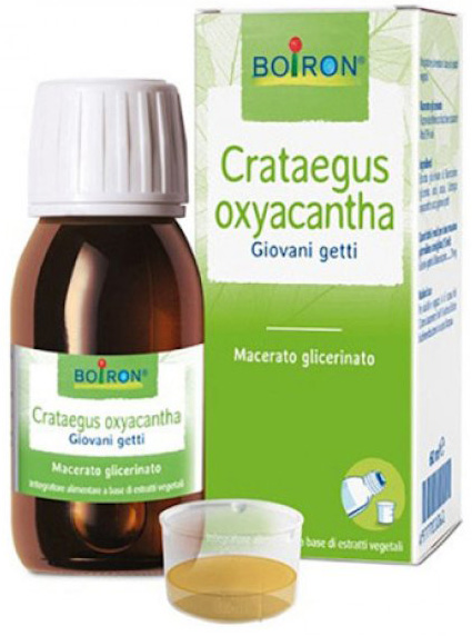 CRATAEGUS OXYACANTHA  TINTURA MADRE 60 ML - Doctor Vinz