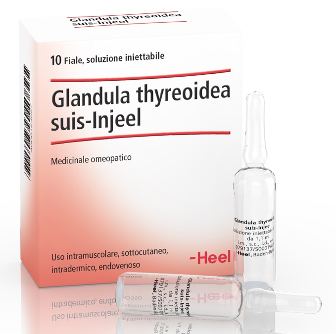 HEEL GLANDULA THYROIDEA SUIS INJEEL 10 FIALE - Doctor Vinz