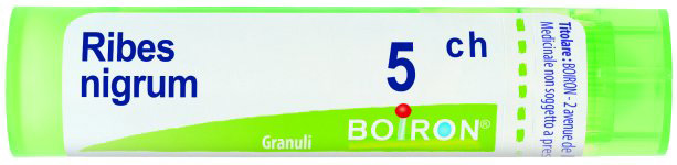 RIBES NIGRUM 5CH GRANULI - Doctor Vinz