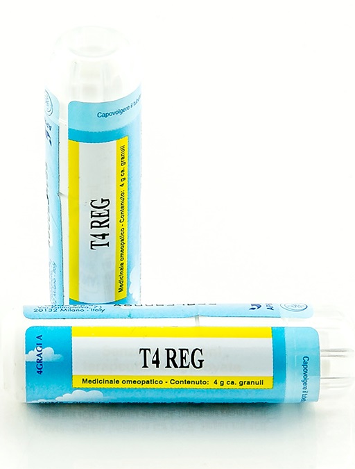 T4 REG GRANULI 4G - Doctor Vinz