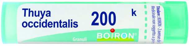 THUYA OCCIDENT 200K GRANULI - Doctor Vinz