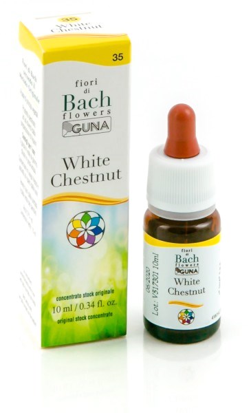 WHITE CHESTNUT GUNA GOCCE 10 ML - Doctor Vinz
