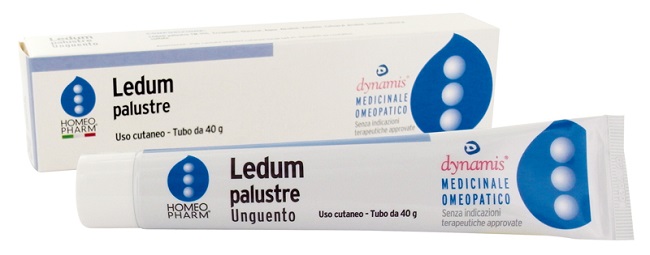 LEDUM PALUSTRE HOMEOPHARM UNGUENTO 40 G - Doctor Vinz