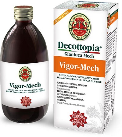 VIGOR MECH 500 ML - Doctor Vinz