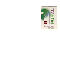 PURAL CHEWING GUM IG 14G - Doctor Vinz