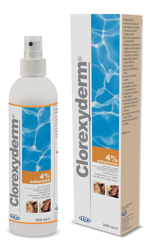 CLOREXYDERM SOLUZIONE 4% 250 ML - Doctor Vinz
