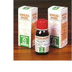 PILOSELLA 20 50ML TM - Doctor Vinz