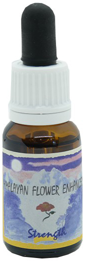 STRENGTH ESSENZA 15 ML 1 PEZZO - Doctor Vinz