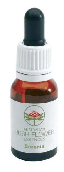 BORONIA GOCCE 15ML - Doctor Vinz