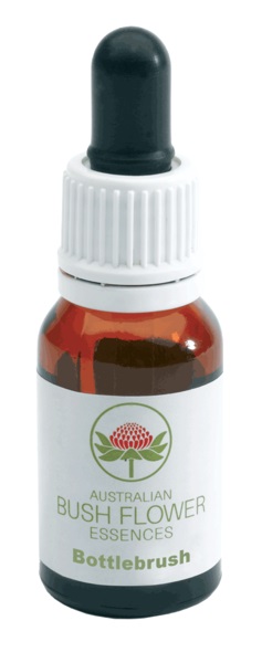 BOTTLEBRUSH GOCCE 15 ML - Doctor Vinz