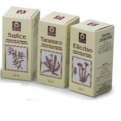 OLIO GERME GRANO 100 ML 501 - Doctor Vinz