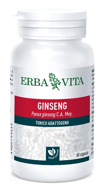 GINSENG 60 CAPSULE - Doctor Vinz