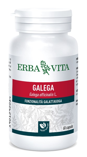 GALEGA 60 CAPSULE - Doctor Vinz