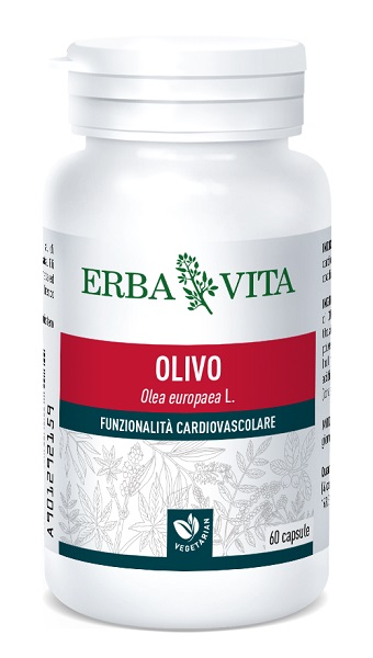 OLIVO 60 CAPSULE - Doctor Vinz