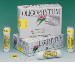 OLIGOPHYTUM FE 300 MICROCOMPRESSE - Doctor Vinz
