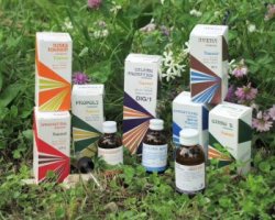 RAEMIL PROPOLI COMPOSTO 15 ML - Doctor Vinz