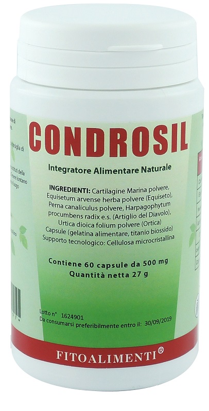 CONDROSIL 60 CAPSULE - Doctor Vinz
