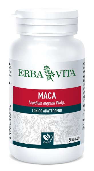 MACA 60 CAPSULE 400 MG - Doctor Vinz