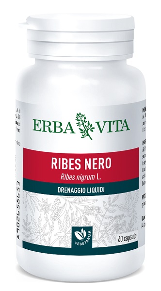 RIBES NERO 60 CAPSULE 450 MG - Doctor Vinz