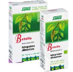 BETULLA SUCCO 200ML BIO - Doctor Vinz