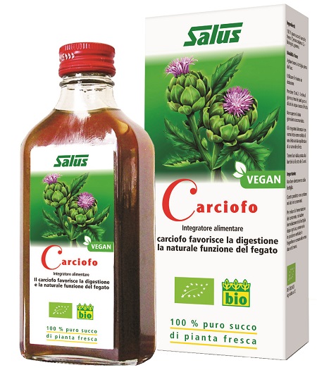 CARCIOFO SUCCO 200 ML BIO - Doctor Vinz