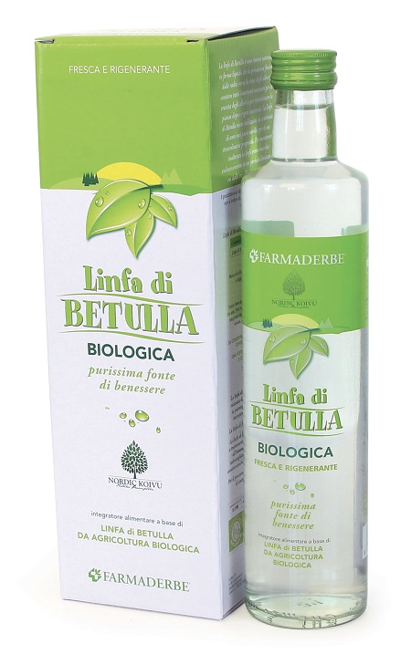 LINFA BETULLA BIOLOGICA 500 ML - Doctor Vinz