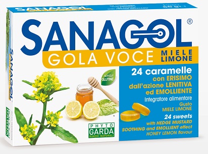 SANAGOL GOLA VOCE MIELE LIMONE 24 CARAMELLE - Doctor Vinz