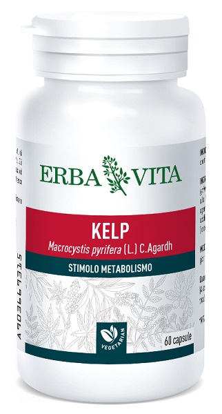 KELP 60 CAPSULE 500 MG - Doctor Vinz