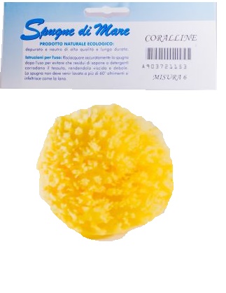 SPUGNA MARE NATURALE MEDIUM - Doctor Vinz