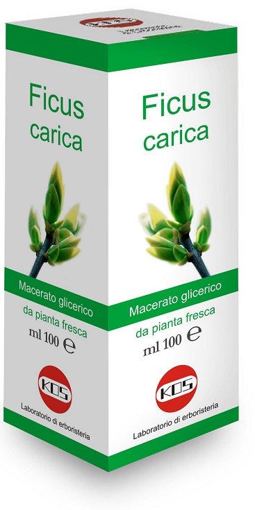 FICUS CARICA MG 100 ML GOCCE - Doctor Vinz