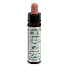 AINSWORTHS WHITE CHESTNUT 10ML - Doctor Vinz