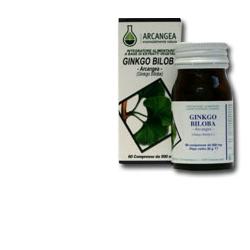 GINKGO BILOBA 60 CAPSULE 500 MG - Doctor Vinz