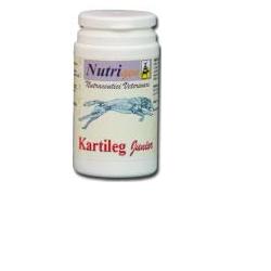 KARTILEG J 60TAV - Doctor Vinz