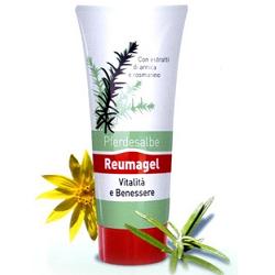 RECOVER GEL PFERDESALBE 200 ML - Doctor Vinz