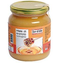 MIELE DI ARANCIO BIO 500 G - Doctor Vinz