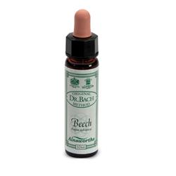 AINSWORTHS BEECH 10ML - Doctor Vinz