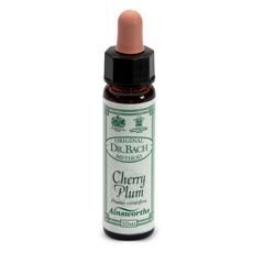 AINSWORTHS CHERRY PLUM 10ML - Doctor Vinz