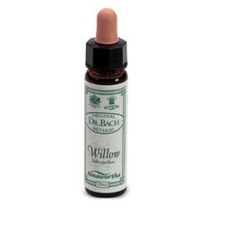 AINSWORTHS WILLOW 10ML - Doctor Vinz