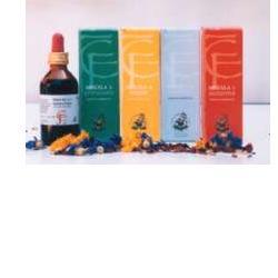 MISCELA 3 PRIMAVERA 100 ML - Doctor Vinz