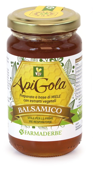 APIGOLA MIELE BALSAMICO 250 G - Doctor Vinz